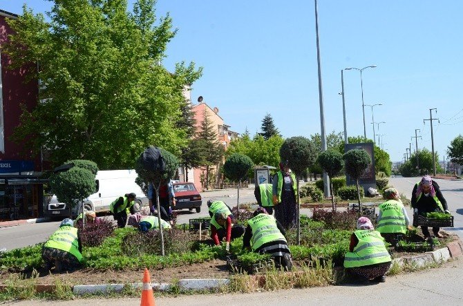 Belediye’den Yeşil Alan Çalışması