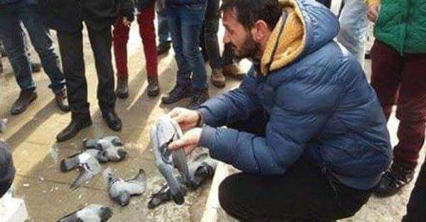 Güvercinlerin Katili Yakalandı