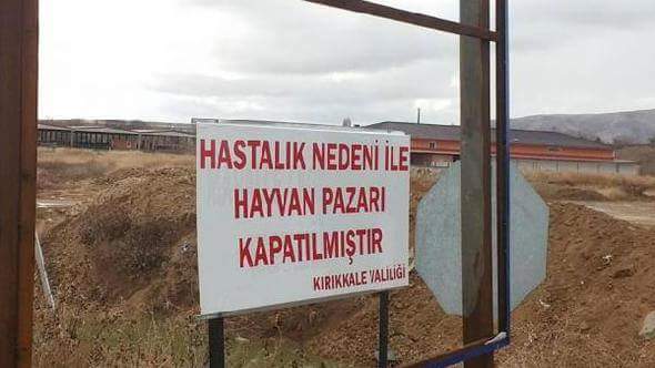 Kırıkkale’de Hayvan Pazarı Kapatıldı