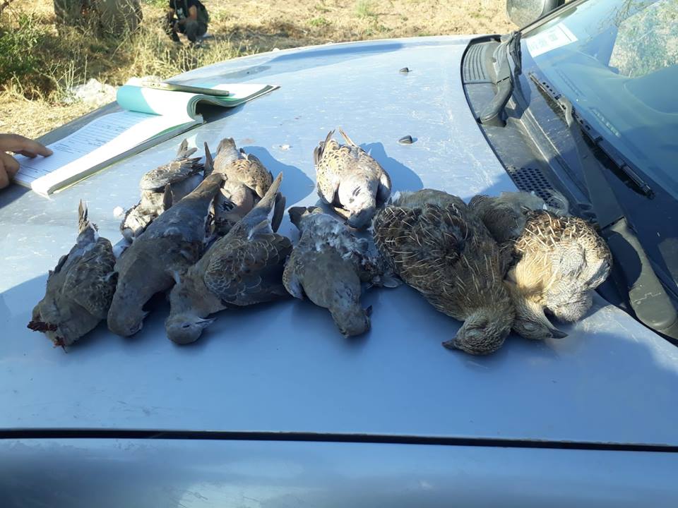 Kırıkkale’de 20 Avcıya Ceza Kesildi