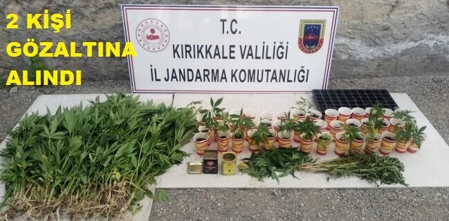 Jandarma’dan Kaçak Tütün ve Uyuşturucu Operasyonu