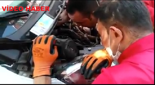 Kırıkkale’de Otomobilin Motor Bölümüne Sıkışan Kediyi İtfaiye Kurtardı