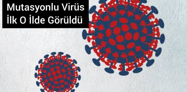 Bakan Koca Açıkladı 15 Kişide Mutasyonlu Virüs Tespit Edildi